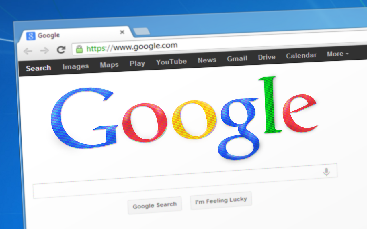 Captura del Buscador de Google